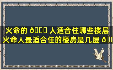 火命的 🐕 人适合住哪些楼层（火命人最适合住的楼房是几层 🐶 ）